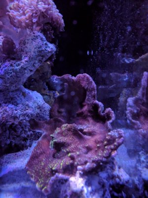 IMG_20170723_223322.jpg