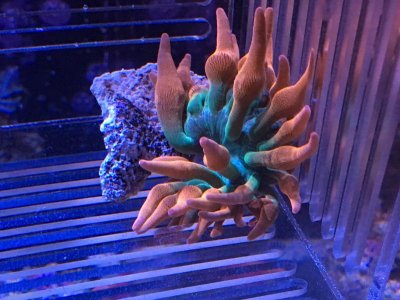 IMG_0812.jpg