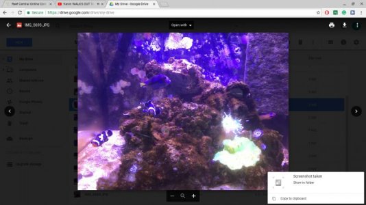 Screenshot 2017-09-10 at 12.30.48 PM.jpg