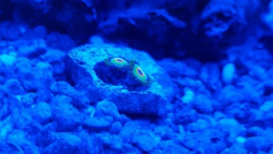20170730_105215.jpg