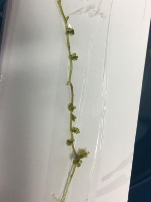 01cfa1e48c98b2774eff3c168cf92fbc07e48a7c56 (2).jpg