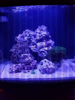 20170910_191256 (1).jpg