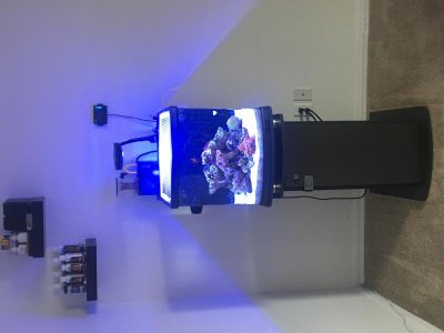 IMG_2330.jpg