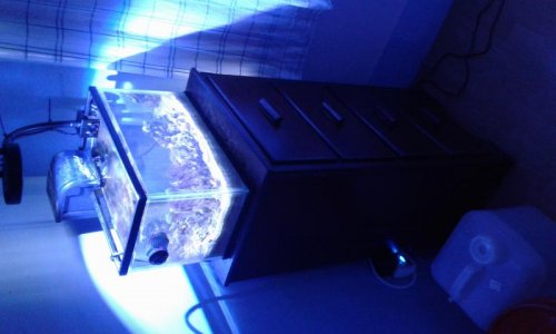 20170528_143508.jpg