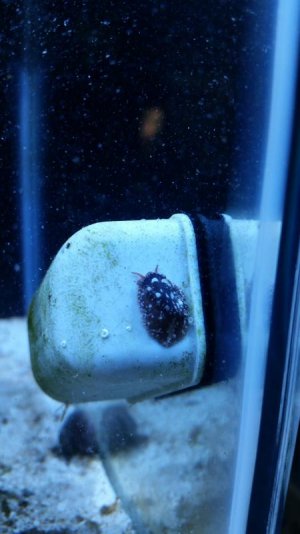 slug.jpg