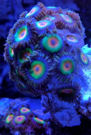 IMG_20170913_204938.jpg