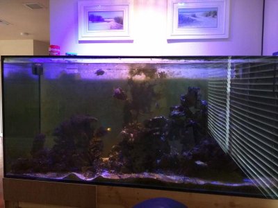 IMG_20170802_181104[1].jpg
