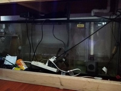 IMG_20170802_181201[1].jpg