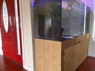 IMG_20170802_181241[1].jpg