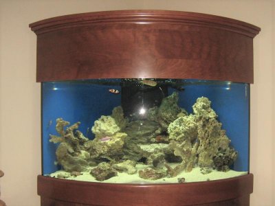 92 Corner.2.close.jpg