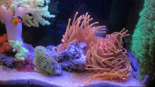 20170915220659 (1)_resized_1.jpg