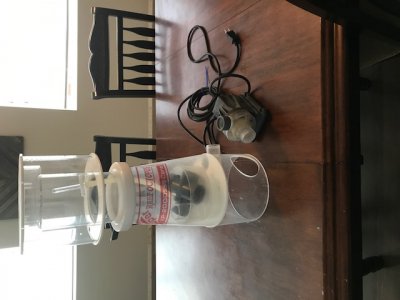IMG_3625.JPG