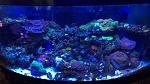 user283104_pic78253_1500663223_thumb.jpg