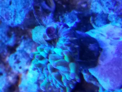 20170731_203900.jpg