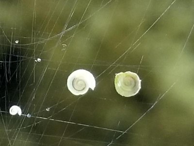 20170725_191435.jpg
