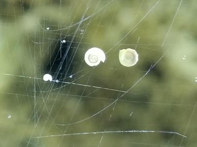 20170725_191428.jpg