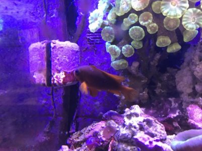 IMG_3441.jpg