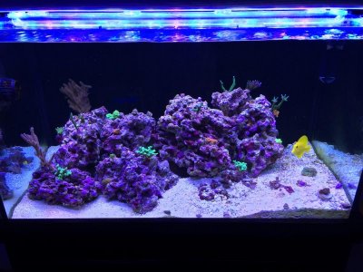 12Crystaline 2-21-16 R.jpg