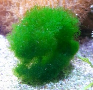 20170920_190629.jpg