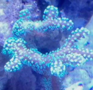 20170806_162640~2.jpg