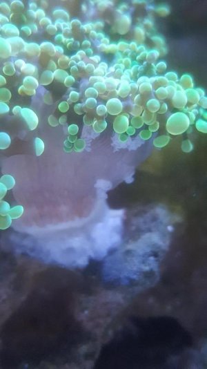IMG_20170922_165741_01.jpg