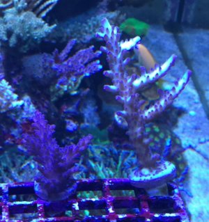 IMG_0377.jpg
