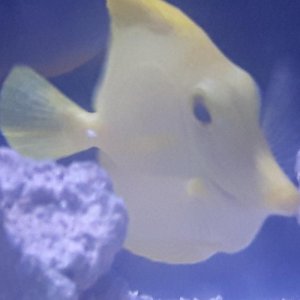20170924_145841.jpg