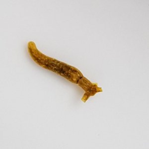IMG-20170807-WA0006.jpg