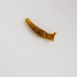 IMG-20170807-WA0004.jpg