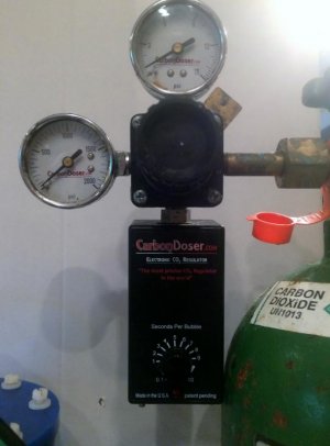 carbon doser.jpg