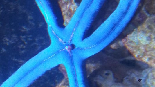 20170925_163703_Burst01.jpg
