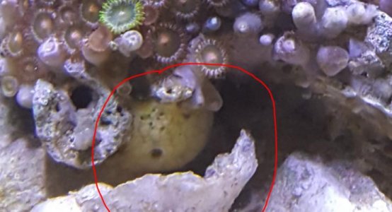 is this  abetter picture (2).jpg