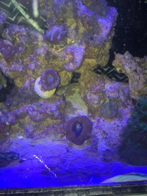 IMG_0377.jpg