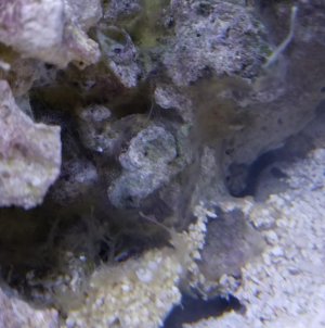 20170811_182231_resized_1.jpg
