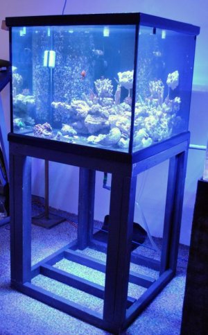 cube tank 2.jpg