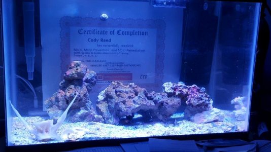 20170929_062430.jpg