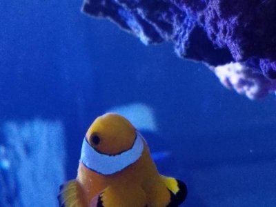 20170814_132145.jpg