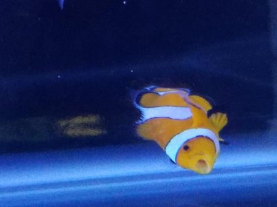 20170814_132051.jpg