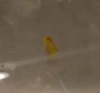 20170814_193402~2.jpg