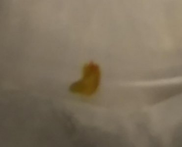 20170814_193144~2.jpg