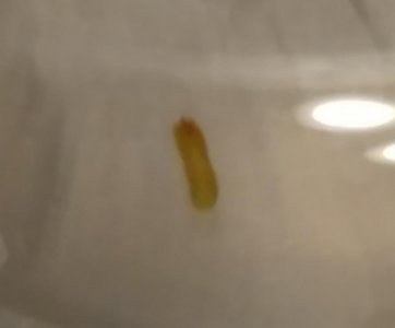 20170814_193136~2.jpg