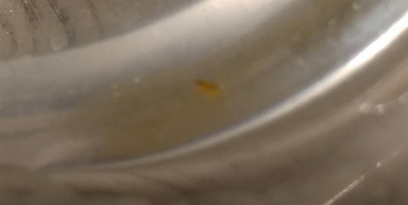 20170814_193053~2.jpg