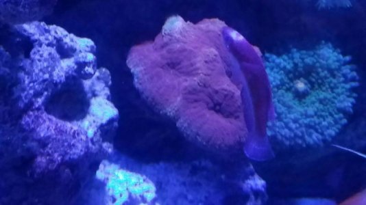 20170814_213349-1512x850.jpg