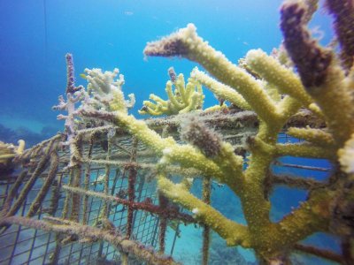 GOPR8557.jpg