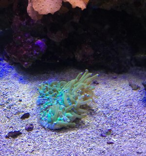 IMG_0214.jpg