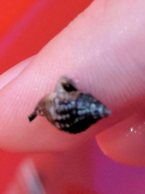 IMG_20171015_115357 (2).jpg