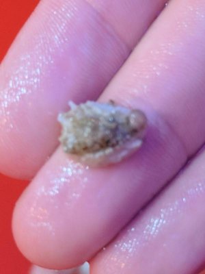 IMG_20171015_115632 (2).jpg