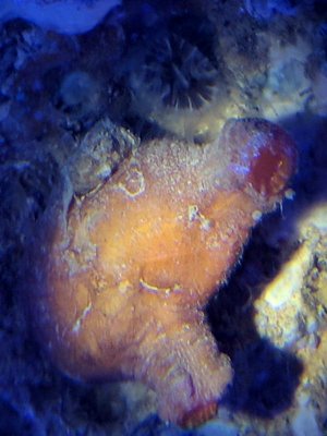 IMG_20171014_115047 (2).jpg