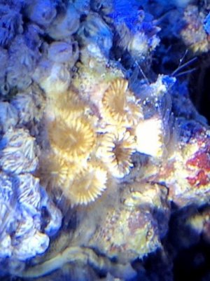 IMG_20171014_115023 (2).jpg