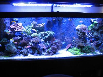 IMG_0931_zpsd4205ae6.jpg